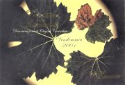 Primitivo di Manduria_Levante